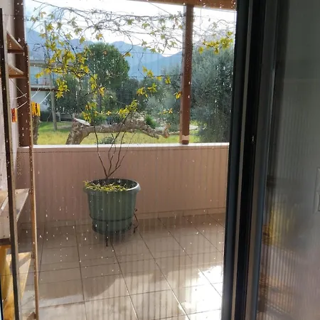 Detached House In 公寓 *